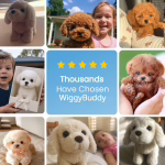 WiggyBuddy image